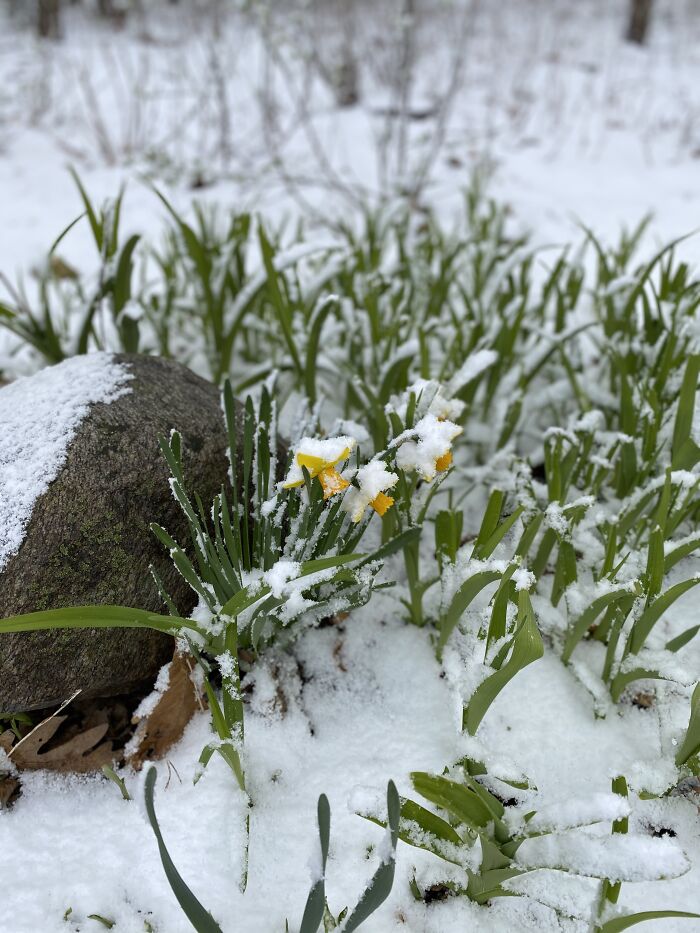 Spring Time, Wisconsin Style.