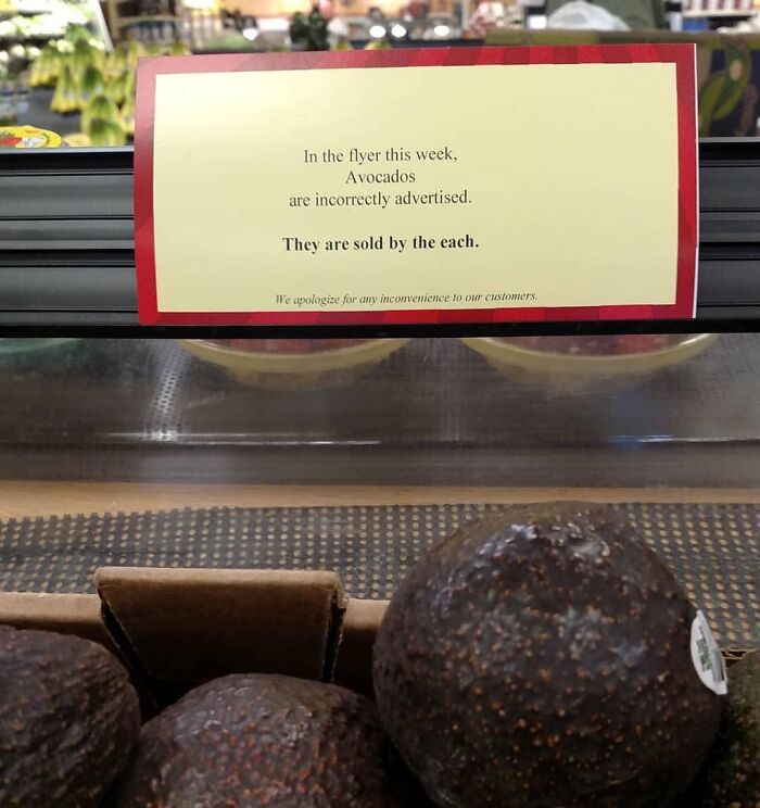 The-Absurd-Sign-Projects