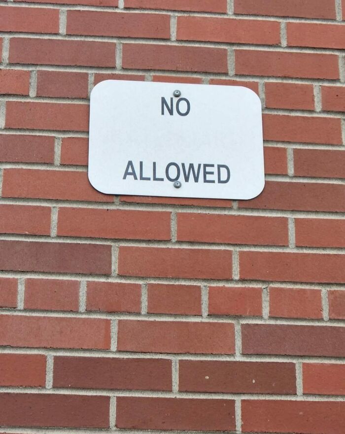 The-Absurd-Sign-Projects