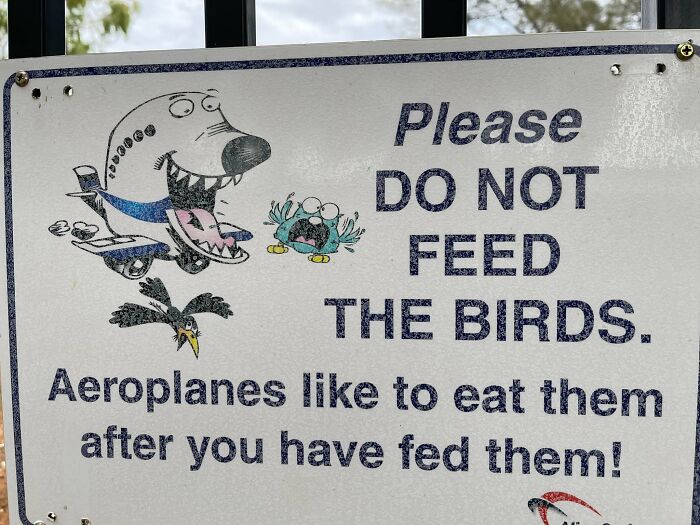 The-Absurd-Sign-Projects