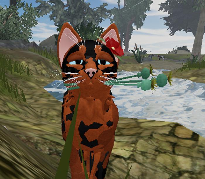 A Screenshot I Took From A Game Mid-Blink, But This Is Basically My Constant Mood