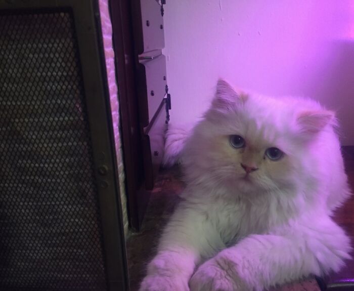 Suger, My Life And Soul🥰🥰