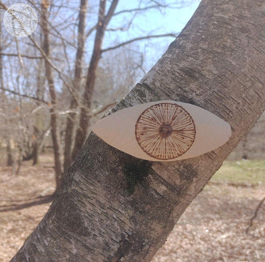 I Often See Eye-Like Patterns In Tree Bark, So I Hand Carved These Eyes From Oak