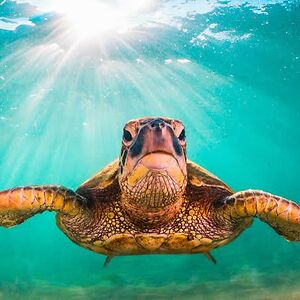 provenwrong22 avatar