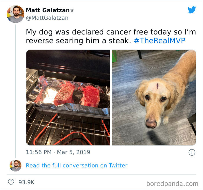 Unexpected-Wholesome-Situations