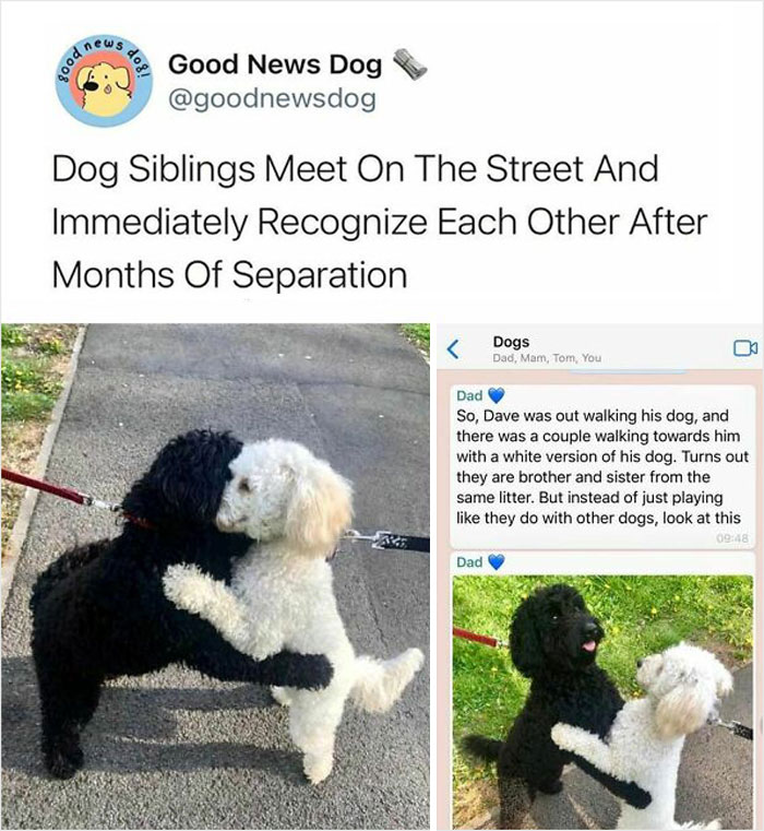 Unexpected-Wholesome-Situations
