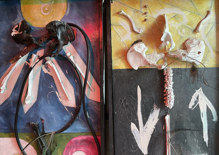 Human Bone (From An Antique Medical Skeleton) Instruments. The Guitar (On The Right) Actually Works.