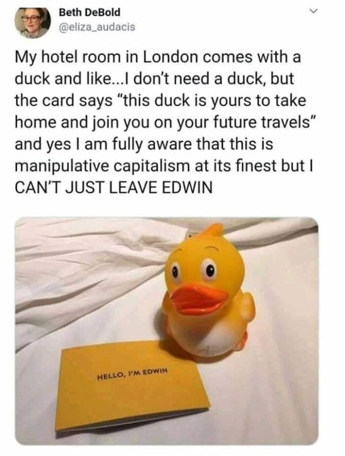 Wait-This-Is-Wholesome-Pics