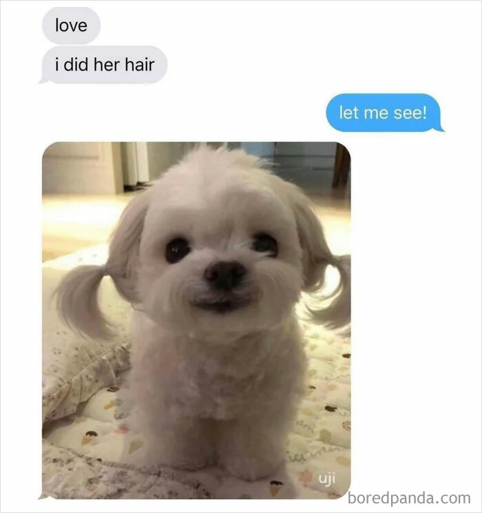 Wait-This-Is-Wholesome-Pics