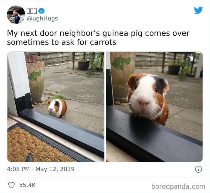 Wait-This-Is-Wholesome-Pics