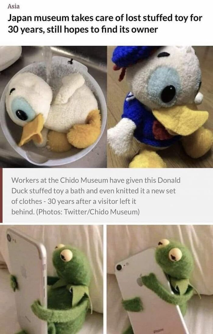 Wait-This-Is-Wholesome-Pics