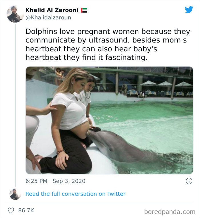 Wait-This-Is-Wholesome-Pics