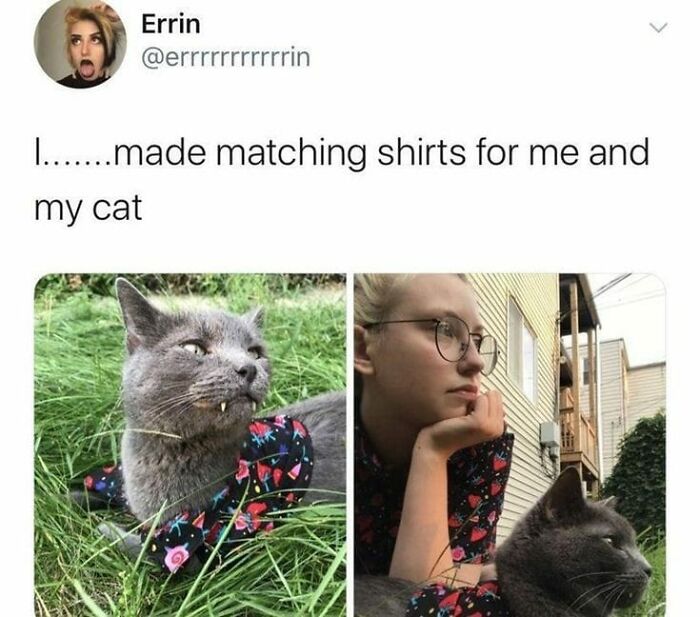 Wait-This-Is-Wholesome-Pics