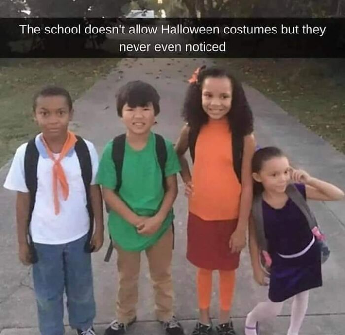 Wait-This-Is-Wholesome-Pics