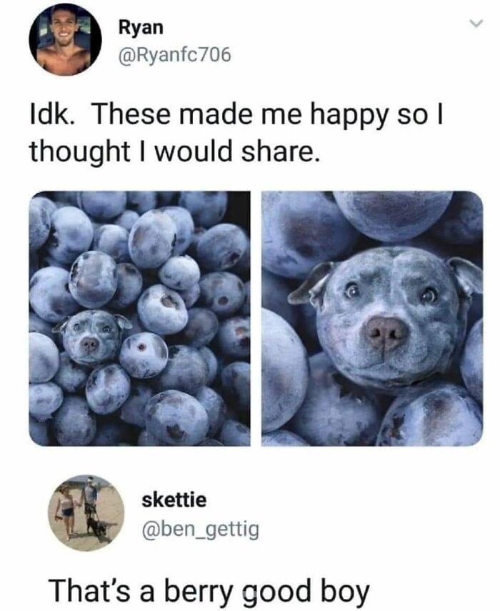 Wait-This-Is-Wholesome-Pics