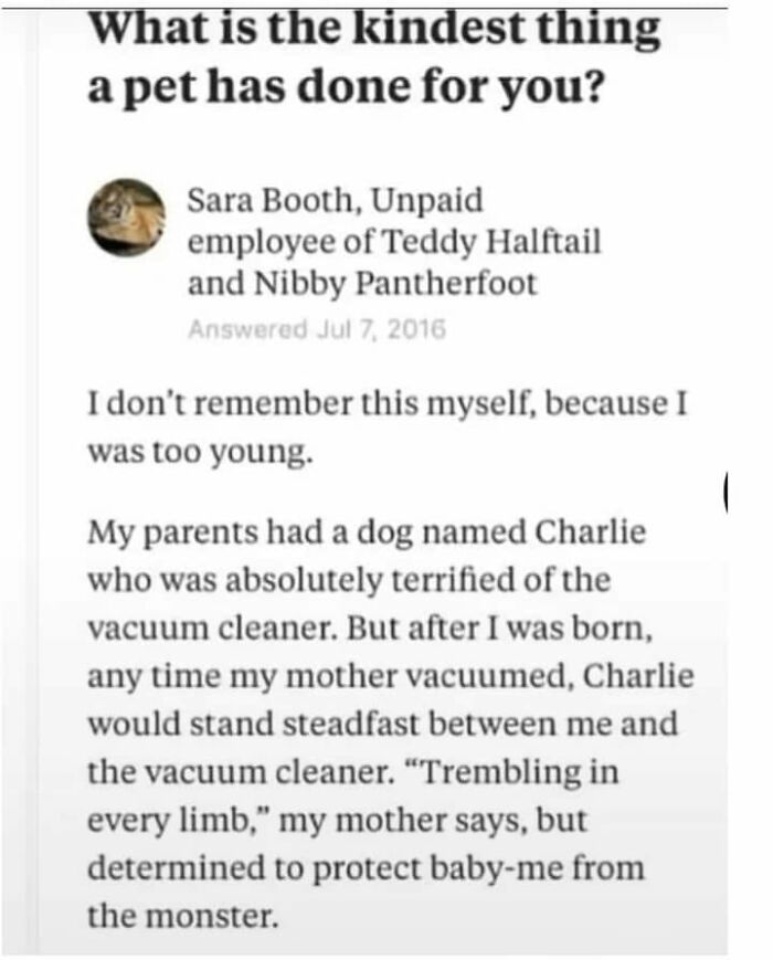 Wait-This-Is-Wholesome-Pics