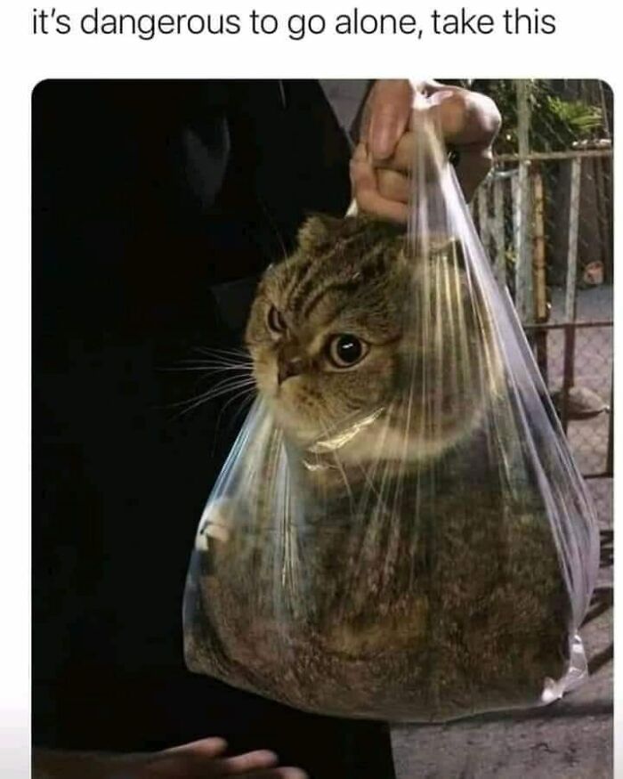 Wait-This-Is-Wholesome-Pics