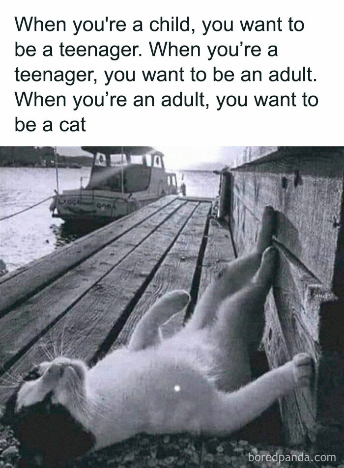 Wait-This-Is-Wholesome-Pics