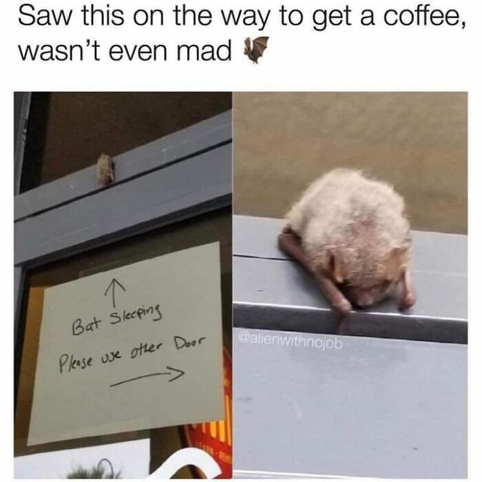 Wait-This-Is-Wholesome-Pics