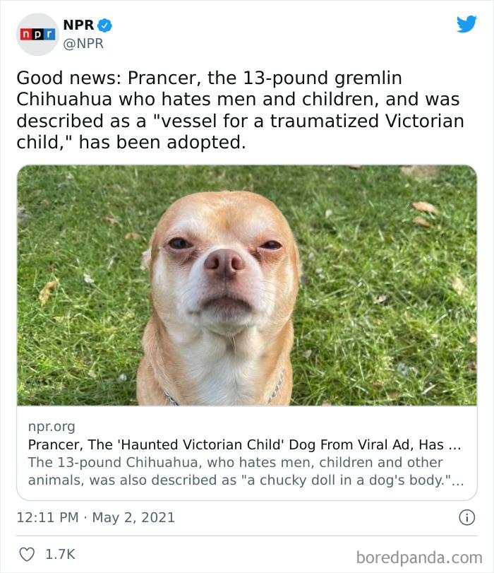 Wait-This-Is-Wholesome-Pics