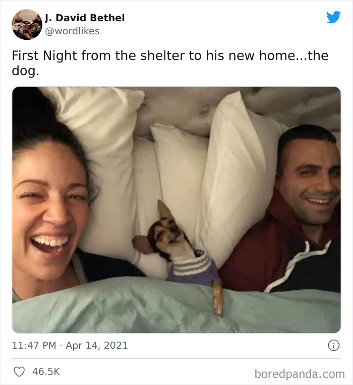 Wait-This-Is-Wholesome-Pics