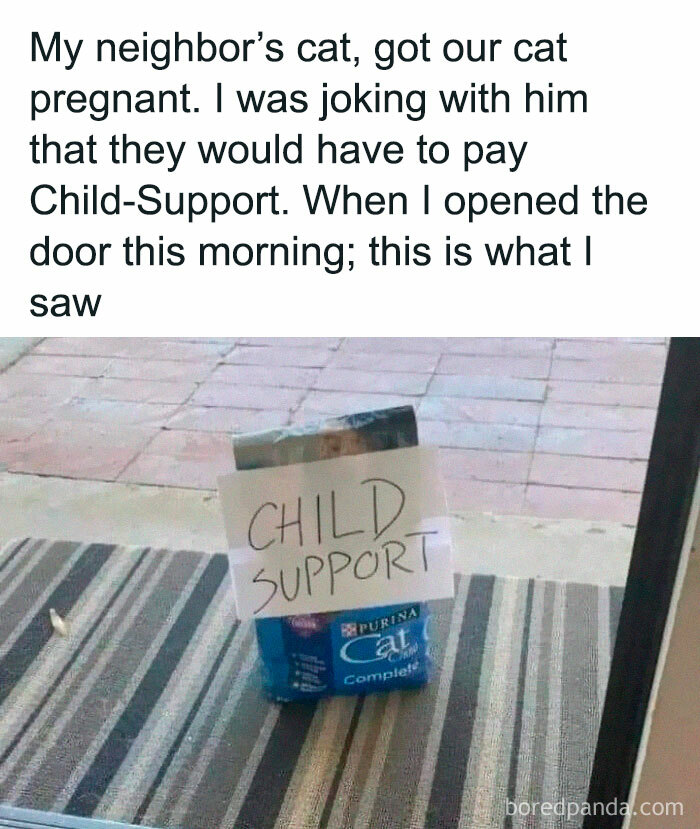 Wait-This-Is-Wholesome-Pics