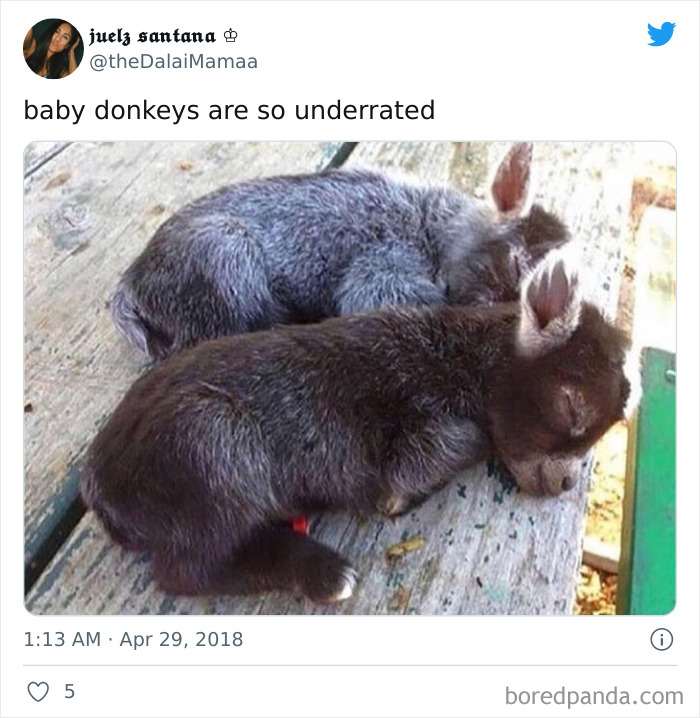 Wait-This-Is-Wholesome-Pics