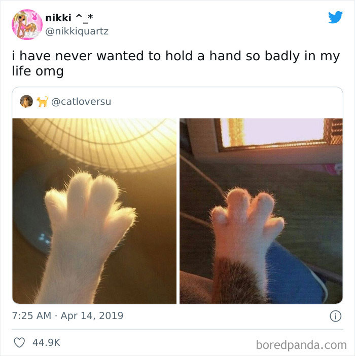 Wait-This-Is-Wholesome-Pics