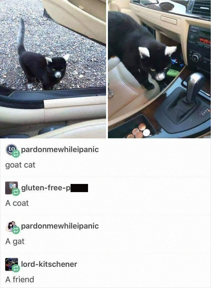 Wait-This-Is-Wholesome-Pics