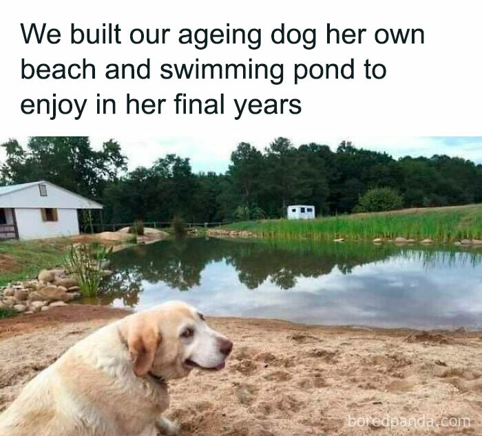 Wait-This-Is-Wholesome-Pics