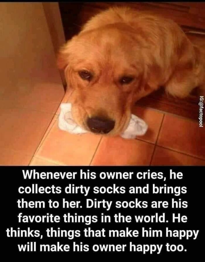 Wait-This-Is-Wholesome-Pics