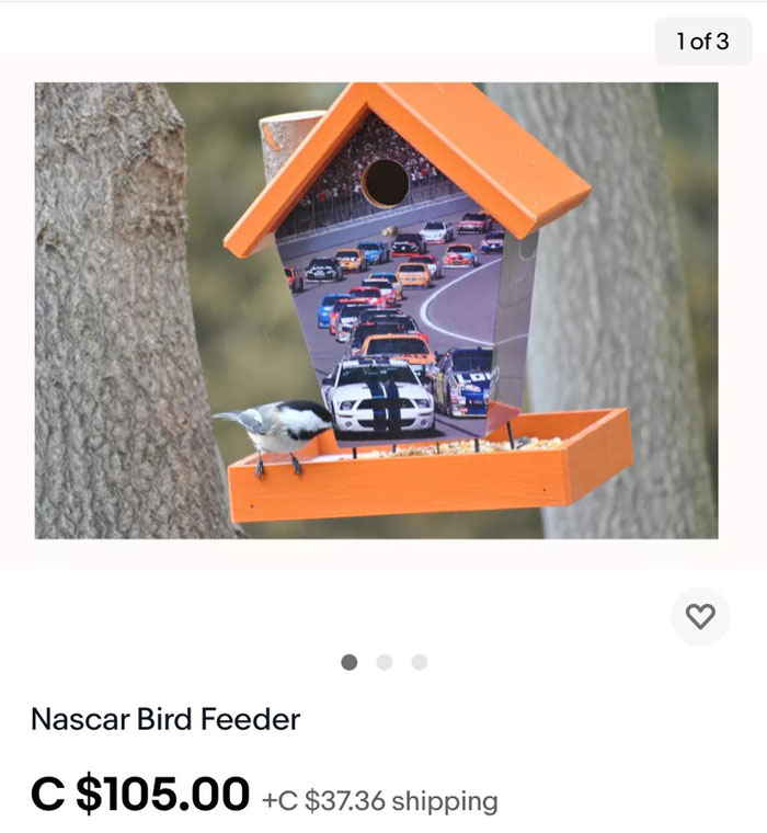 Weird-Ebay-Listings-Ebaybae