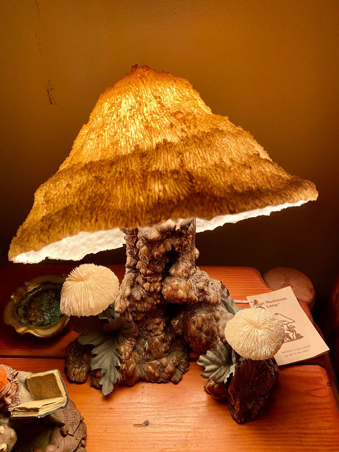 This Mushroom Lamp Called Out To Me At An Estate Sale Today. $75 And Worth Every Cent