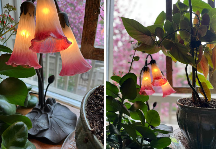 The First Thing I Saw When I Walked Through The Door Of A Thrift Store In Millville, New Jersey. Only $10 And It Definitely Came Home With Me