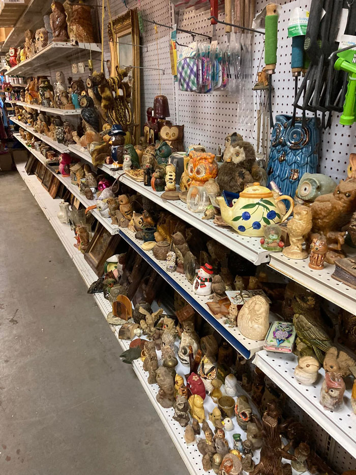 Here Is Someone's Lifelong Collection Of Owls I Found At A Little Thrift Store. There Were Three More Aisles! I Bought Sixteen Very Dusty Pieces, Cleaned Them, And They Now Reside In My Home