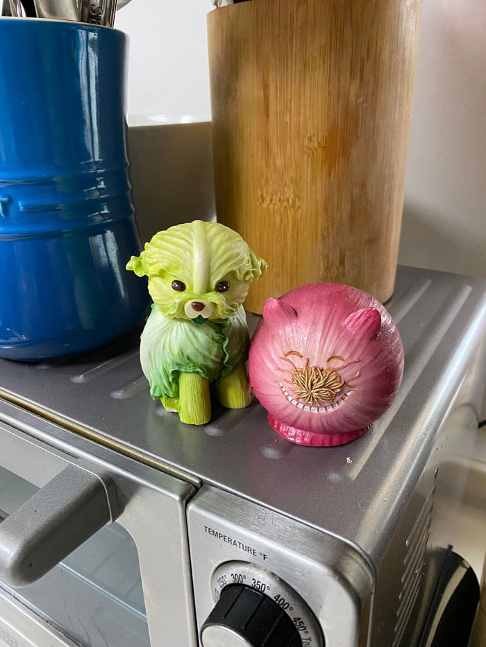 Found These Little Besties At A Thrift Store On A Military Base In Okinawa Japan