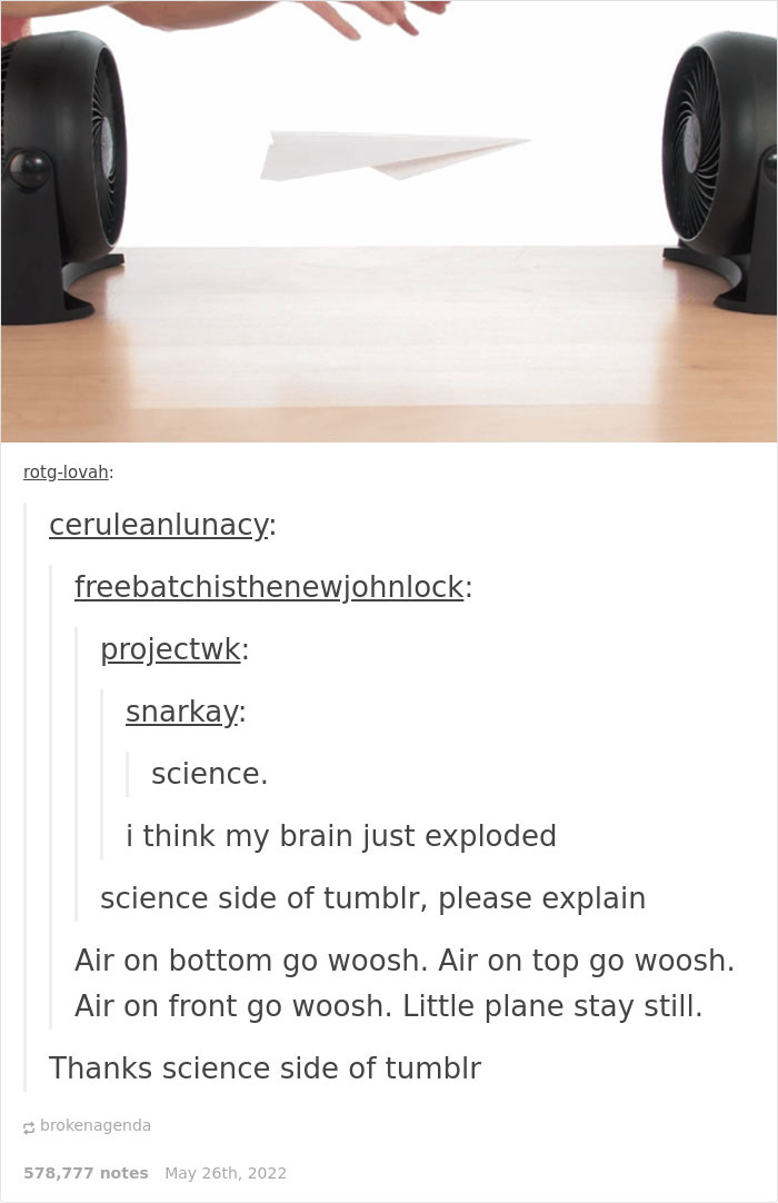 Weird-Side-Of-Tumblr-Posts