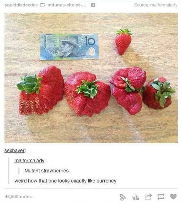 Weird-Side-Of-Tumblr-Posts