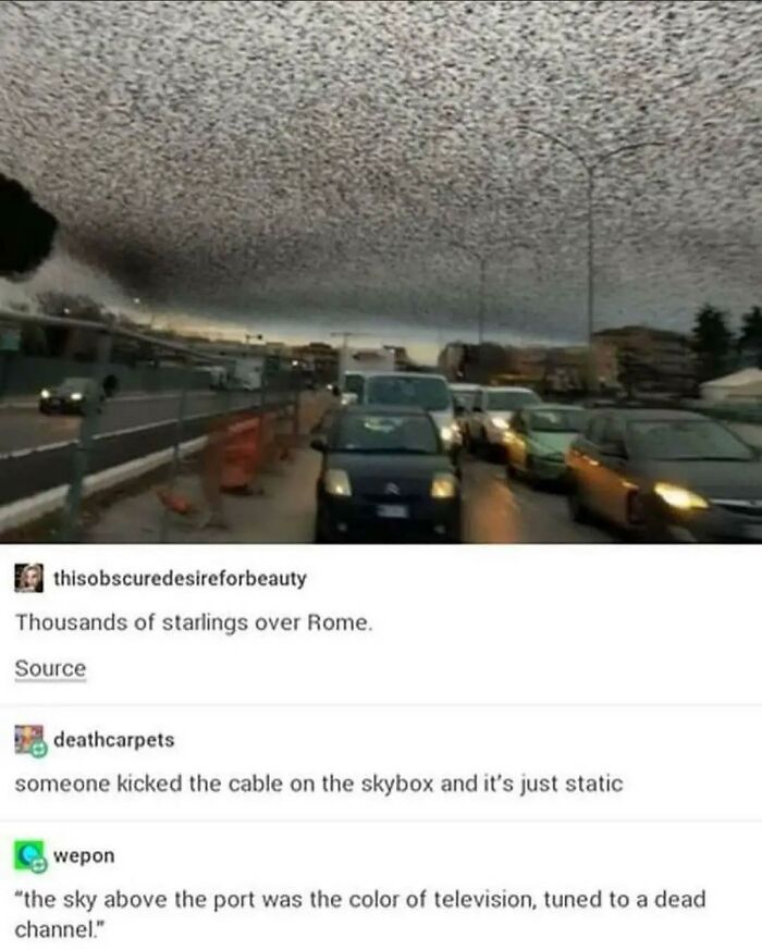 Weird-Side-Of-Tumblr-Posts