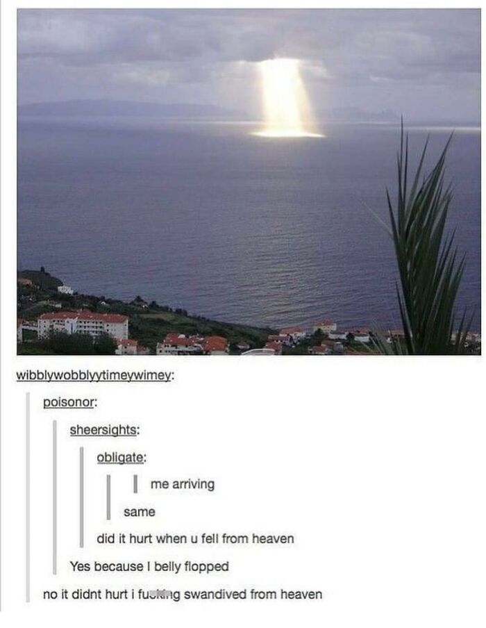 Weird-Side-Of-Tumblr-Posts