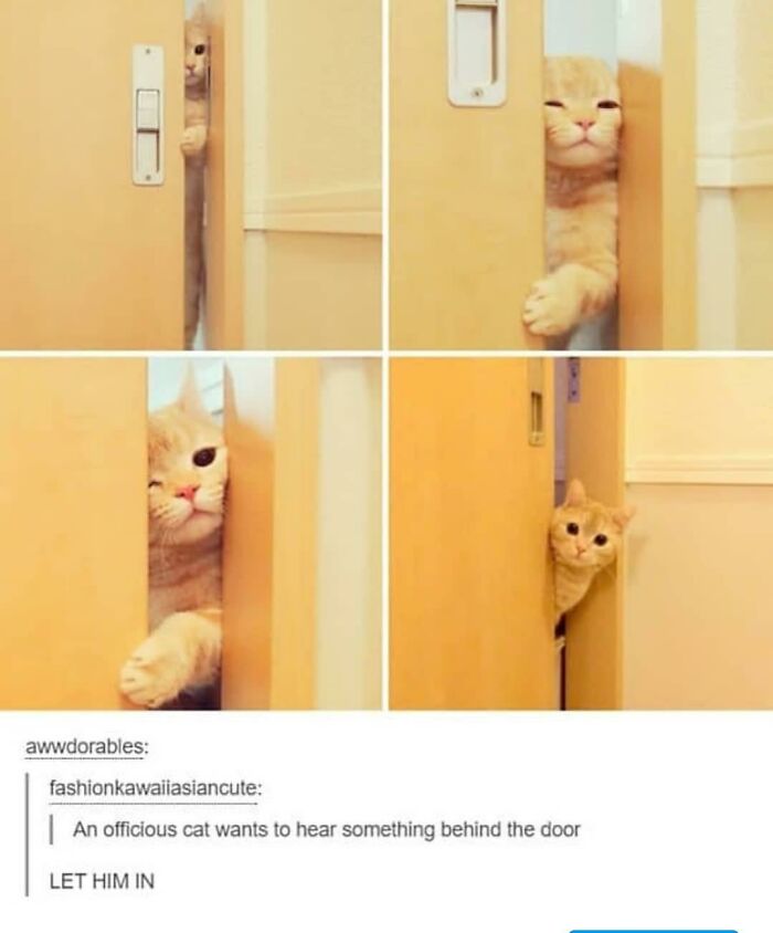 Weird-Side-Of-Tumblr-Posts