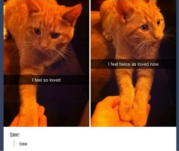 Weird-Side-Of-Tumblr-Posts