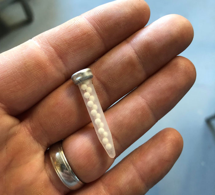 Encontré esto detrás de un congelador comercial mientras hacía renovaciones. Carcasa de plástico, bolas de plástico, cubierta de metal, alrededor de 3,75 cm de longitud. ¿Anclaje de pared? ¿Cápsula de cianuro?