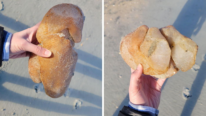 Encontrado en la playa cerca de Myrtle Beach, Carolina del Sur. Acabamos de tener una gran tormenta. Es muy firme y se rompe suavemente. Parece orgánico