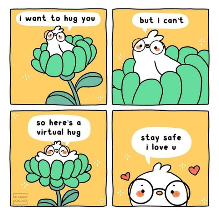 Wholesome-Memes-Funny