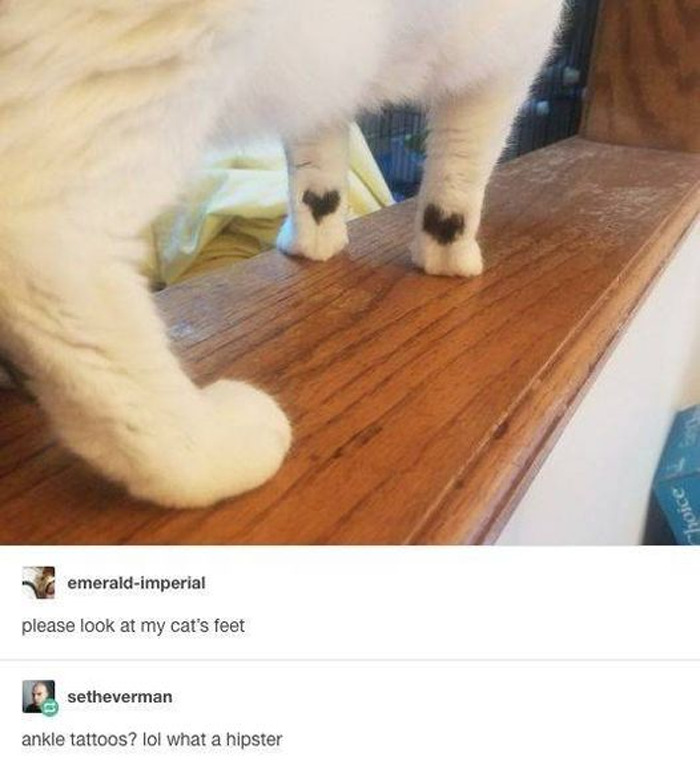 Wholesome-Memes-Funny