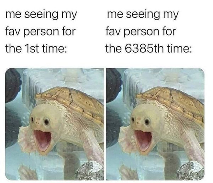 Wholesome-Memes-Funny