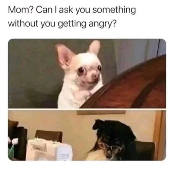 Wholesome-Memes-Funny