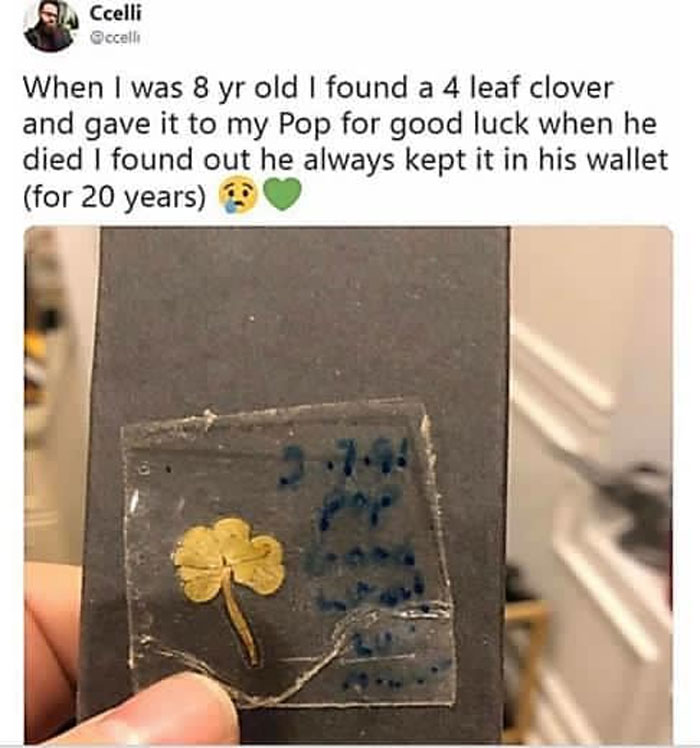 Wholesome-Memes-Funny