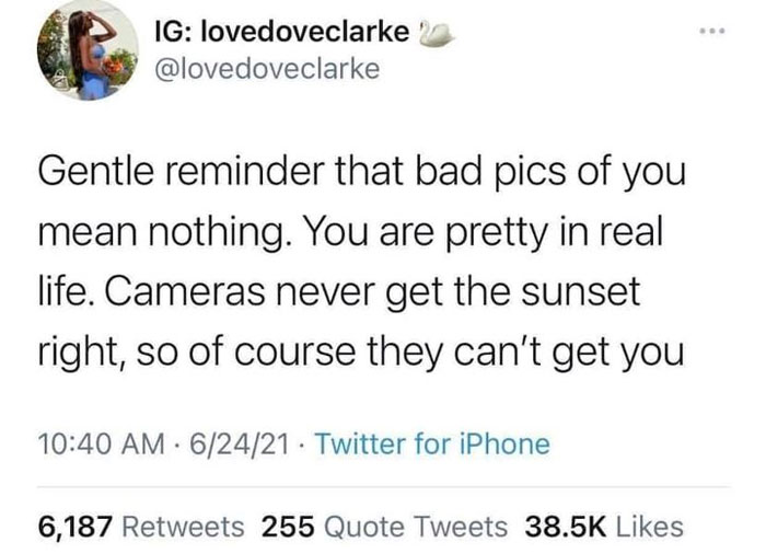 Wholesome-Memes-Funny